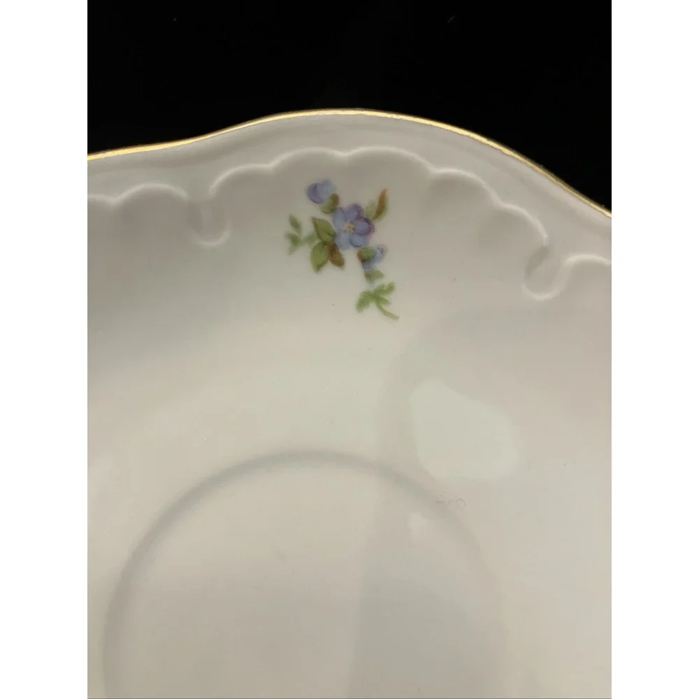 Bavaria Schumann Germany US Zone Floral Pattern 1 Teacup 6 Saucer 1940s Kitchen
